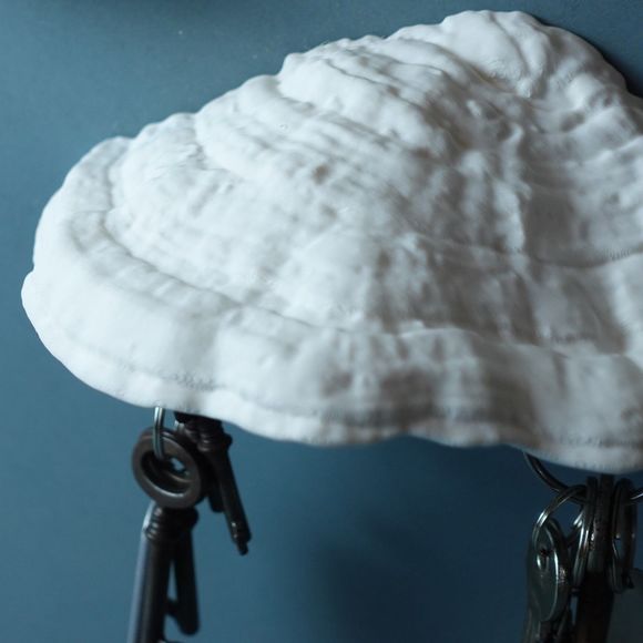 Carnosum Fungus Magnetic Key Holder for Party, Living Room, Bedroom - Picture 3 of 9